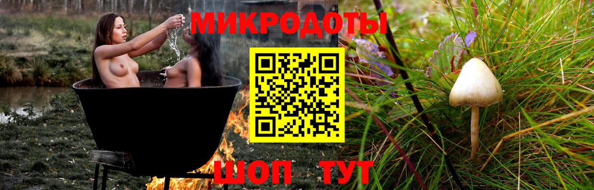 как найти закладки  Псилоцибиновые грибы прущие грибы  Вход с VPN  Черняховск 